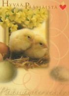 OSTERN HUHN EI Vintage Ansichtskarte Postkarte CPSM #PBP201.DE - Easter