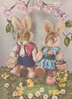 OSTERN KANINCHEN Vintage Ansichtskarte Postkarte CPSM #PBO512.DE - Easter