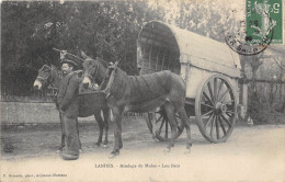 40-LANDES- ATTELAGE DE MULET - LOU BROS - Andere & Zonder Classificatie