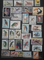 ( 175 ) Collections Oiseaux - Colecciones Completas