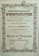 Grands Etablissements Bruxellois D'Horticulture - 1922 - Anc.etablissements P.De Goes Et E.Thysmans) - Agricoltura