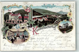 13475904 - Neckargemuend - Neckargemünd
