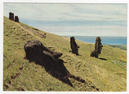 AK 214395 RAPA NUI / EASTER ISLANDS / ISLA DE PASCUA  - Moai  - Volcan Rano Raraku - Rapa Nui