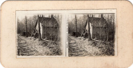 Photo Stéreoscopique , Campement Dans Un Bois - 1914-18