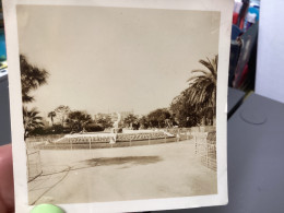 PHOTO SNAPSHOT 1930 Cannes Les Jardins De Cannes, Statut Monument Palmiers. - Lugares