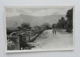 Argentine - Paisaje De San Javier -  Camino Al Champaqui - 1957 - Argentina