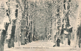 FRANCE - Langres - Promenade De Blanchefontaine En Hiver - Vue Générale - Carte Postale Ancienne - Langres