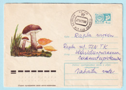 USSR 1975.0122. Brown Birch-bolete (Leccinum Scabrum). Prestamped Cover, Used - 1970-79