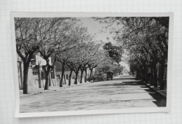 Argentine - Vista De La Ciudad De VILLA DOLORES - Calle Felipe Erdmann - 1957 - Argentina