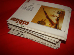 Lot De 23 Magazines " CIBLES " La Revue Des Armes Et Du Tir - Francés