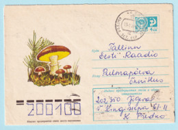 USSR 1975.0305. Yellow Boletus (Suillus Granulatus). Prestamped Cover, Used - 1970-79