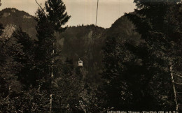 Luftseilbahn VITZNAU - WISSIFLUH (950 M ü. M. - Vitznau