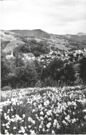 ROMANIA VIEW TO ABRUD, BUILDINGS, HOUSES, CHURCH, FLOWER VALLEY, HILLS - Postage Due