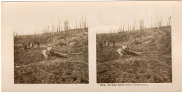 Photo Stéréoscopique De 14-18 , Un Bois Aprés Notre Bombardement - 1914-18