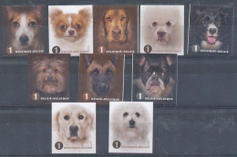 TIMBRE  ZEGEL STAMP  BELGIQUE FACES DE CHIENS 4383-4392  XX - 2013-... König Philippe