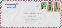 South Africa Air Mail Cover Sent To Denmark 28-12-1969 Topic Stamps - Lettres & Documents