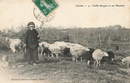 FRANCE - Vieille Bergère Et Ses Moutons - Animé - Carte Postale Ancienne - Altri & Non Classificati