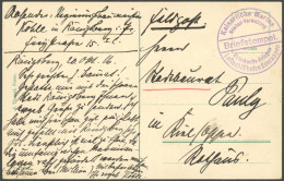 MSP VON 1914 - 1918 Feldpost-Ansichtskarte Mit Violettem Briefstempel Kaiserliche Marine Luftschiffhafen Seerappen - Neu - Maritime