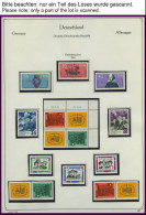 JAHRGÄNGE 1004-Bl. 22 , 1964, Kompletter Jahrgang, Pracht - Autres & Non Classés