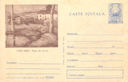 Postal Stationery Postcard Romania Camil Ressu Soveja - Rumania