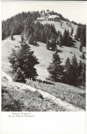 Cristianul Chalet In Postăvarul Massif - Romania