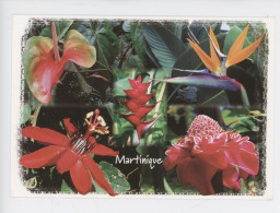 Martinique : Fleurs Tropicales (exbrayat Photographe) - Autres & Non Classés