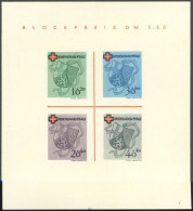 RHEINLAND PFALZ Bl. 1I/III , 1949, Block Rotes Kreuz, Type III: Blauer Fleck Mitte Unten Und Violetter Strich Oben Links - Renania-Palatinato