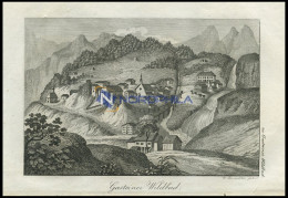 GASTEINER WILDBAD, Land Salzburg/Alpen, Gesamtansicht, Von Bergen Umschlossen, Kupferstich Von F. Rosmäsler Jun. Von 182 - Litografía