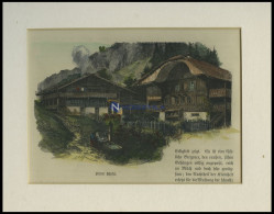 Berner Bauernhäuser, Kolorierter Holzstich Um 1880 - Lithographien