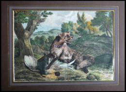 Fuchs Und Seine Beute (Fuchs Und Auerhahn), Kolorierter Holzstich Um 1880 - Litografía