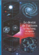 Le Destin De L'univers, Le Big Bang Et Après (1992) De Xuan Thuan Trinh - Wissenschaft