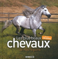 Les Plus Beaux Chevaux De Nos Régions (2011) De Editions Esi - Animales