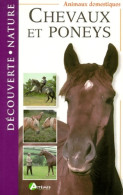 Chevaux Et Poneys (2000) De Collectif - Tiere