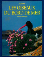 Les Oiseaux Du Bord De Mer (1997) De Yannick Bourgault - Dieren