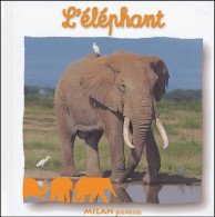 L'éléphant (2004) De Natacha Fradin - Autres & Non Classés