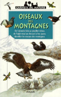 Oiseaux Des Montagnes (2001) De Frédéric Lisak - Natura