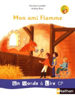 Album 3 : Mon Ami Flamme (2019) De Christian Lamblin - 6-12 Anni