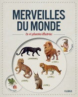 MERVEILLES DU MONDE EN 45 PLANCHES Illustrées (2014) De Jérôme Pelissier - Animali