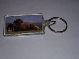 PORTE CLEFS 22 ANNEAU PHOTO BISON Et Son PETIT DIMENSION Environ 6x4cm PLASTIQUE - Llaveros