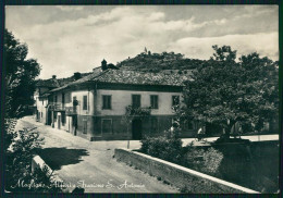 Cuneo Magliano Alfieri Sant'Antonio Foto FG Cartolina MZ2045 - Cuneo