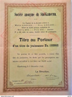 Geselschaft Süd-Kamerun - Genusschein (1898) (Hambourg)  - Deutsche Und Französische Seite ! - Sonstige & Ohne Zuordnung
