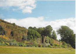 THE LONG BORDER, POLESDON LACEY, SURREY, ENGLAND. UNUSED POSTCARD   Mm9 - Surrey