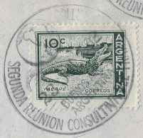 Argentine 1962. Oblitération Seconde Réunion Consultative Du Traité Antarctique - Antarktisvertrag