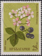 1981 Bulgarien ° Mi:BG 2966, Sn:BG 2731, Yt:BG 2604, Sg:BG 2915, Blackberry (Rubus Caesius) - Gebruikt