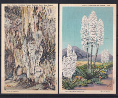 USA 4 Color Postal Cards Unused New Mexico 16103 - Altri & Non Classificati