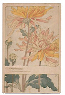 C Riom Carte Postale Art Nouveau. CHRYSANTHEME  . Avec Monogramme Cr - Other & Unclassified