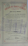 Cie Des Produits Kemmerich - Act. De 500 Francs (1890 !!) - Antwerpen - Mijnen