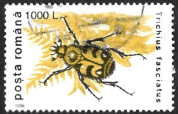 ROUMANIE 1996 - YT 4317 - Trichius Fasciatus Insecte - Oblitéré - Gebruikt