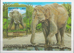 Maldives MNH SS - Elefanti
