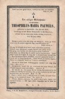 THEOHILUS MARIE PAUWELS  ASSENEDE 1847 ( LEERLING KL.SEMINARIE ST.NIKLAAS )  1864     1939 ZIE AFBEELDINGEN - Avvisi Di Necrologio